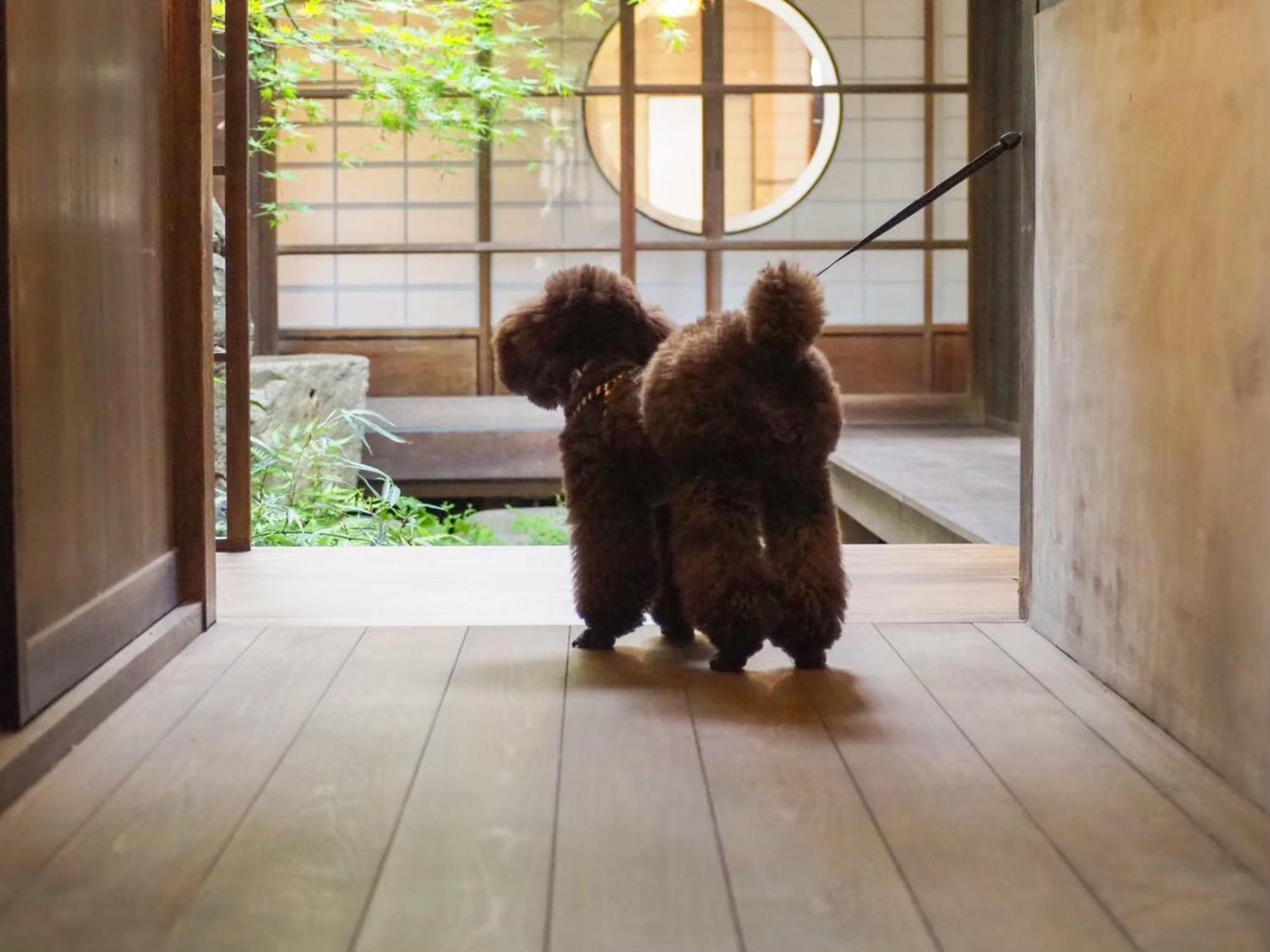 古民家の宿宰嘉庵 Traditionaljapanisehotel Saikaan 마이즈루 외부 사진